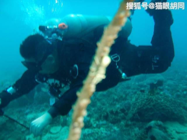 逃离童话城堡王