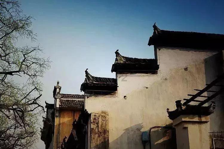 虫虫助手下载